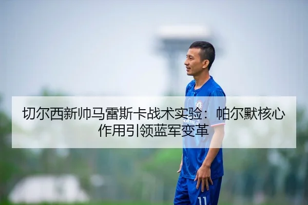 qie-er-xi-xin-shuai-ma-lei-si-ka-zhan-shu-shi-yan-pa-er-mo-he-xin-zuo-yong-yin-ling-lan-jun-bian-ge-2-847.jpg
