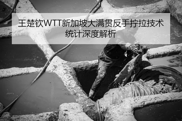 王楚钦WTT新加坡大满贯反手拧拉技术统计深度解析