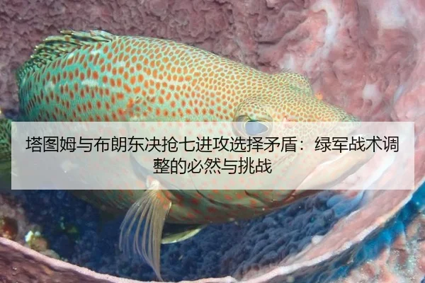 ta-tu-mu-yu-bu-lang-dong-jue-qiang-qi-jin-gong-xuan-ze-mao-dun-lv-jun-zhan-shu-tiao-zheng-de-bi-ran-yu-tiao-zhan-3-518.jpg