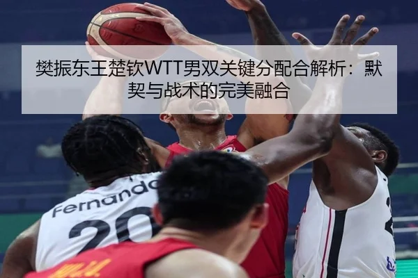 樊振东王楚钦WTT男双关键分配合解析：默契与战术的完美融合